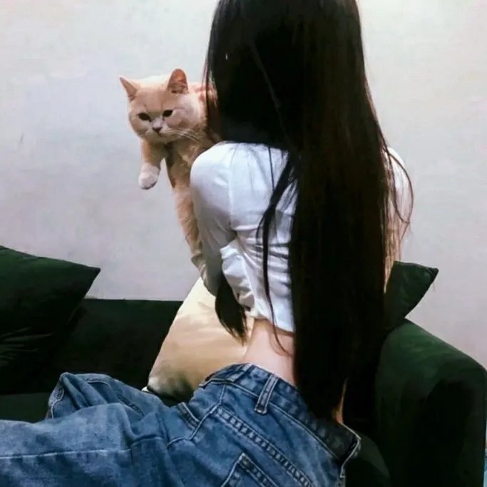 黑鹰追缉令